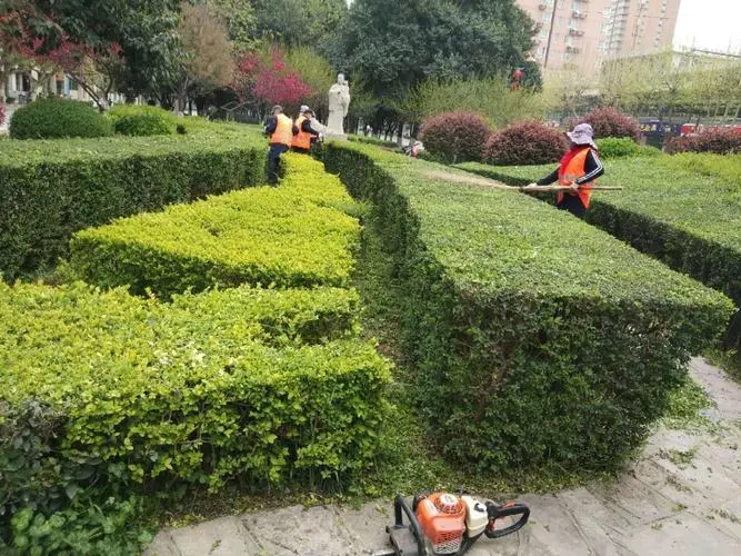 现代园林景观设计色彩要求