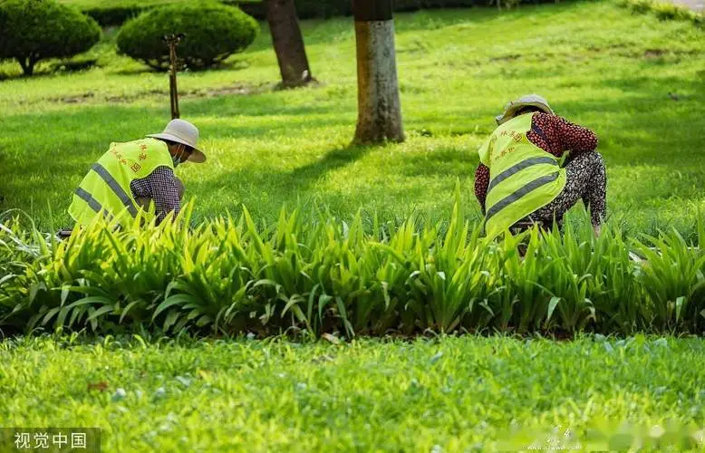 别墅公园园林景观设计案例