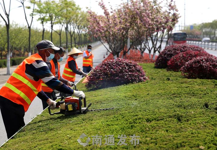 揭秘园林管理员面试问题，考察综合素质与职业操守！